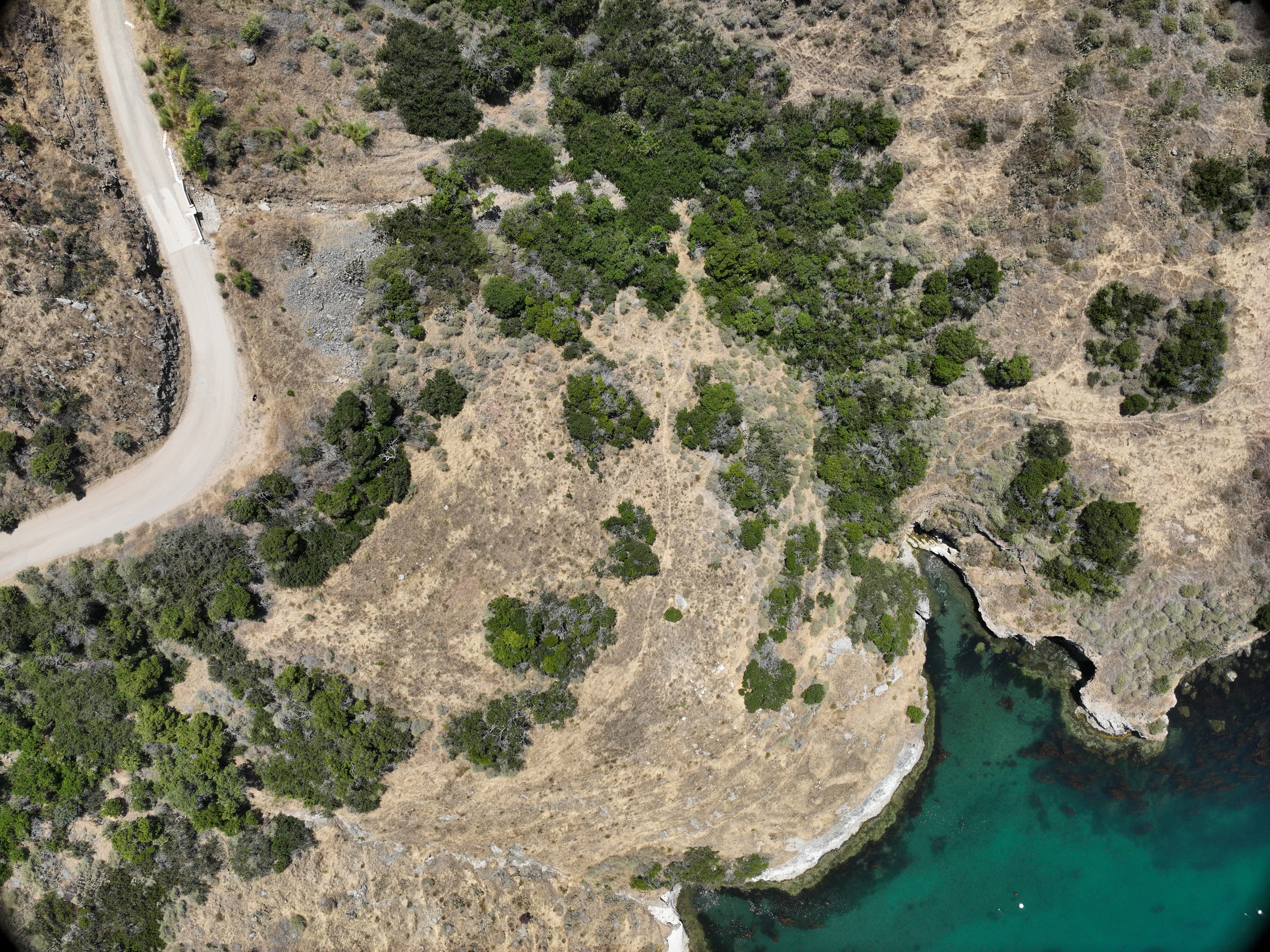 Fishermans Cove aerial