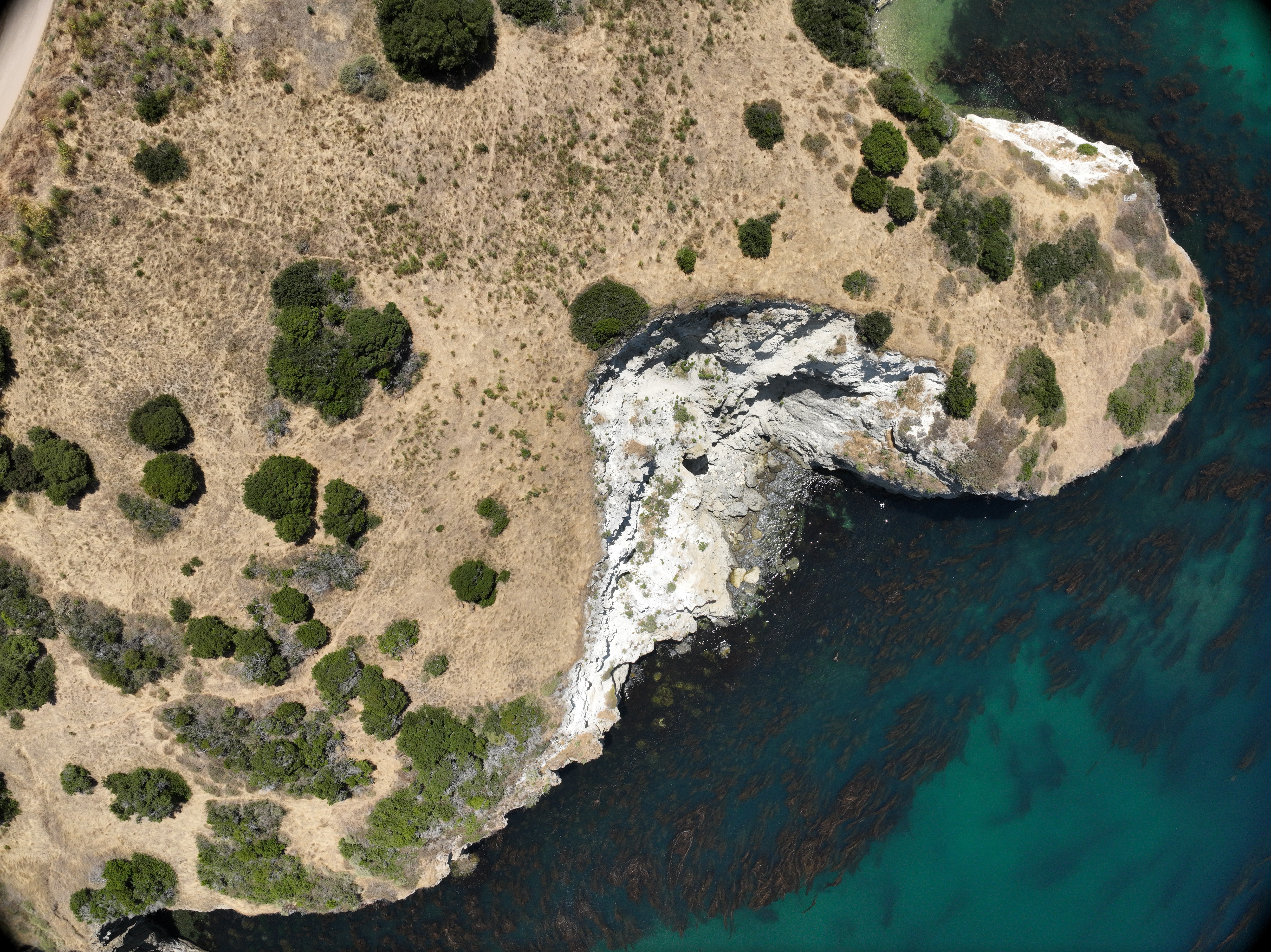Drone survey
