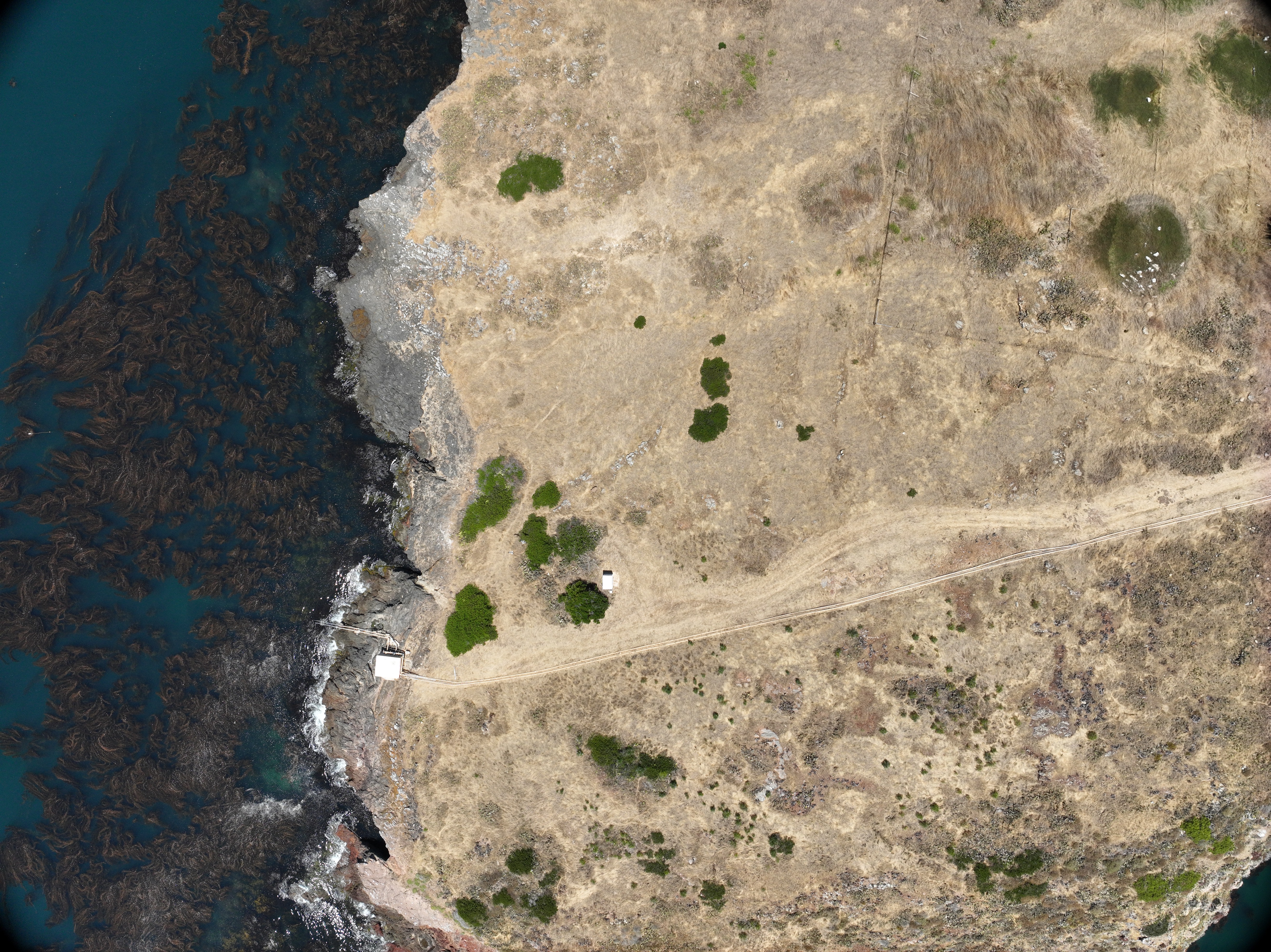 Catalina Island coastline