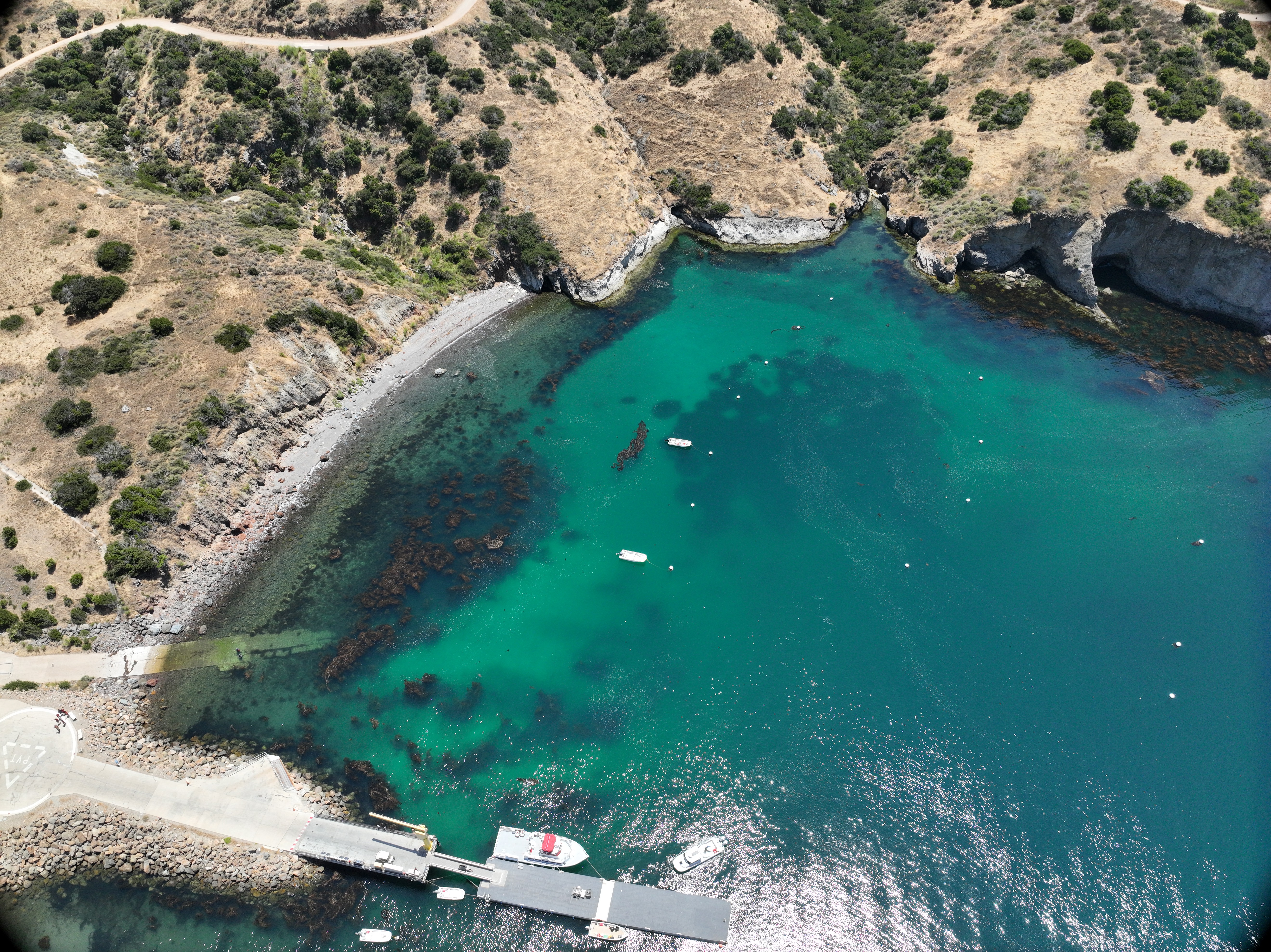 Cove overview
